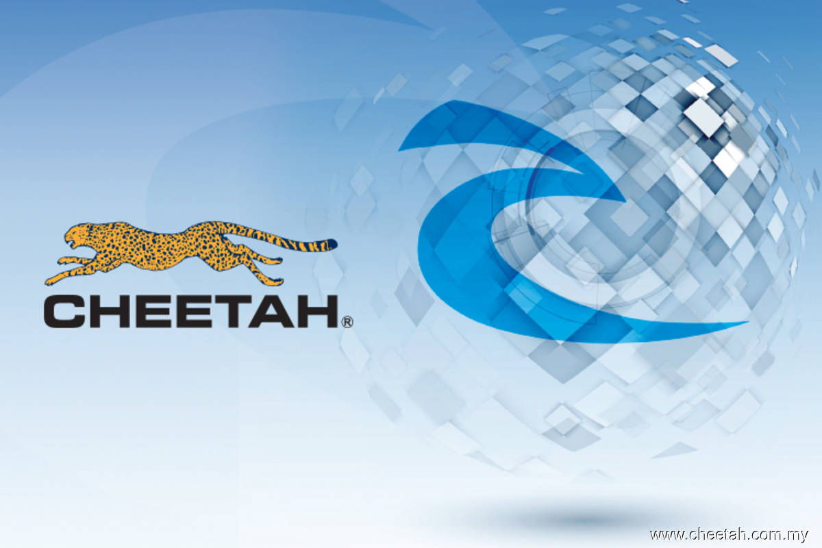 Clothes retailer Cheetah's share volume spikes as warrant trade starts